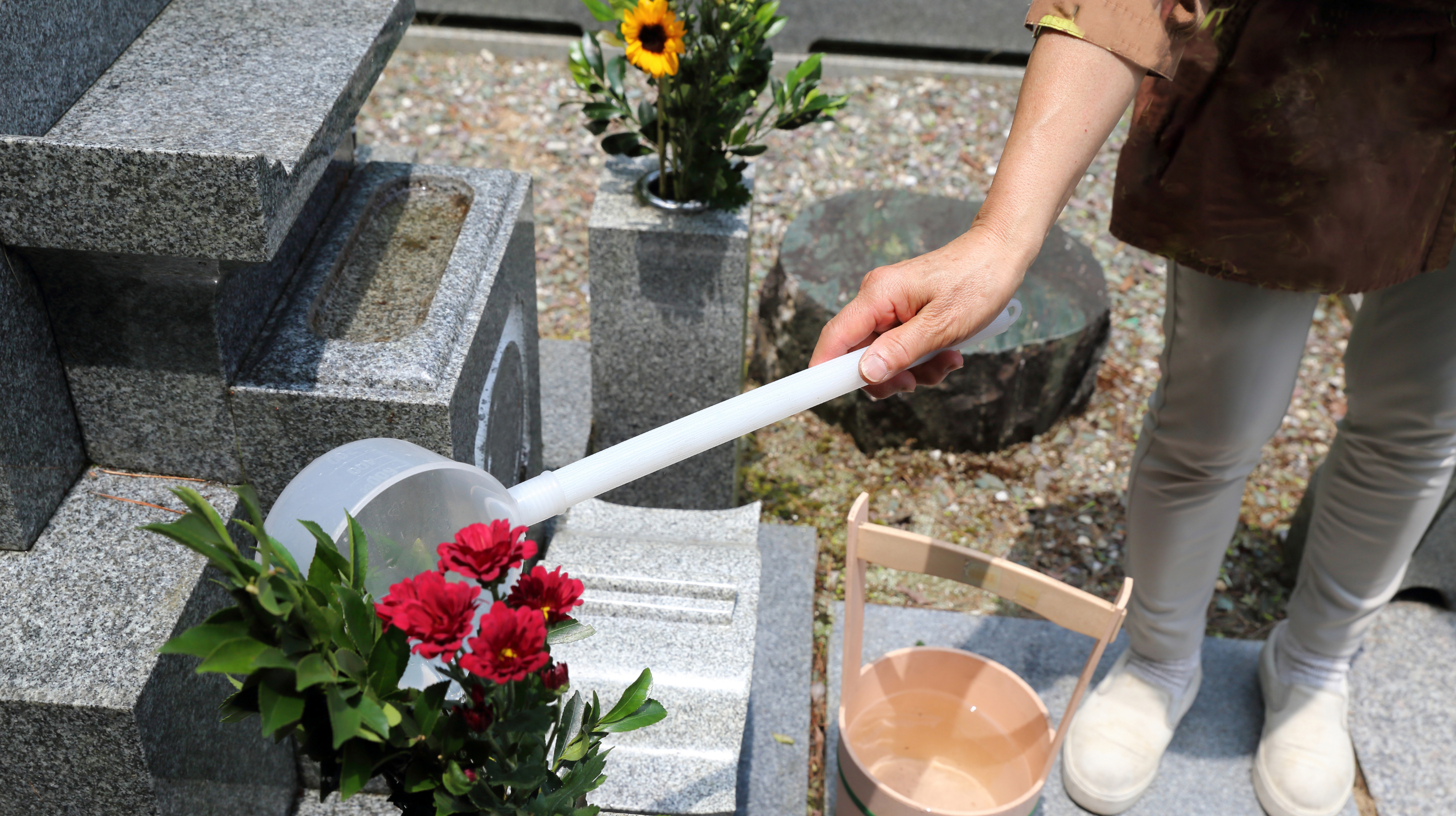 圓蔵寺 合祀墓
